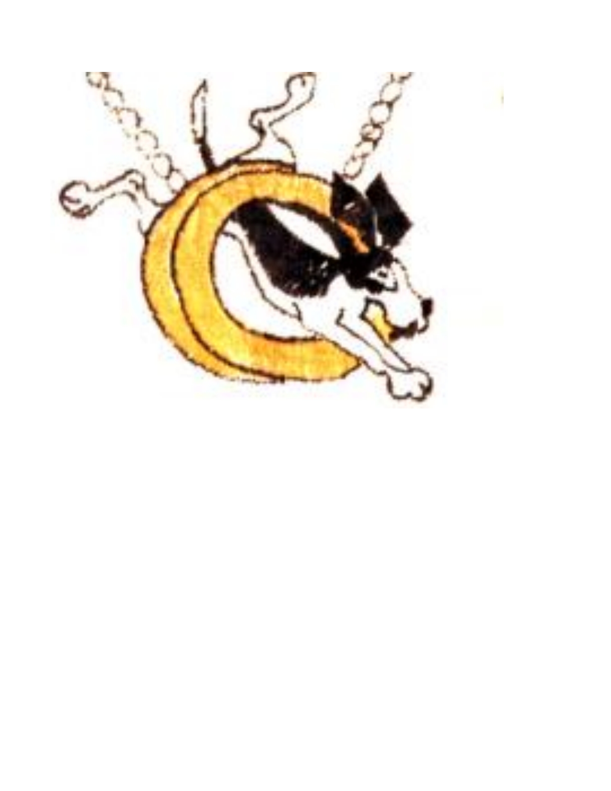 Epping Green Dog Agility Club
